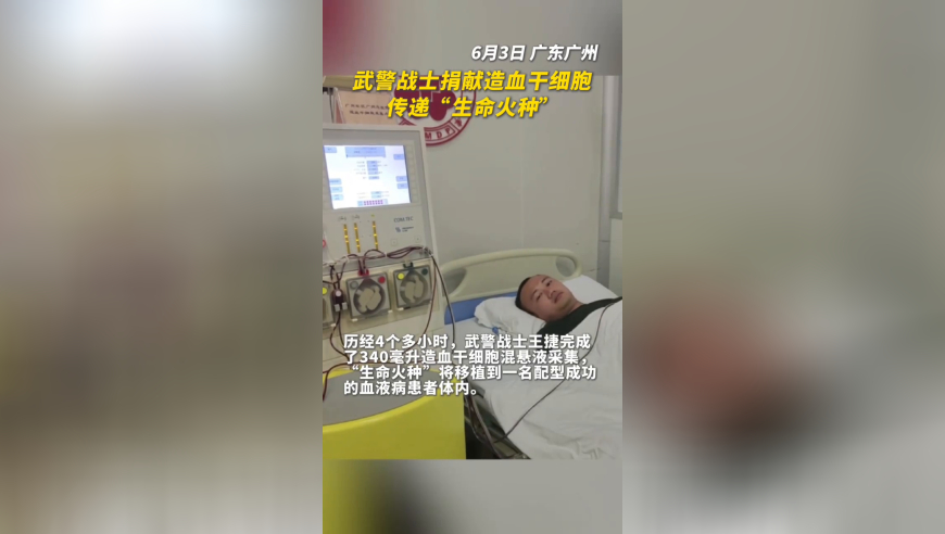 四不像资料论坛大全,中方回应美欧日涉解放军演训言论,精准解释落实的人生哲理_正式版V8.28