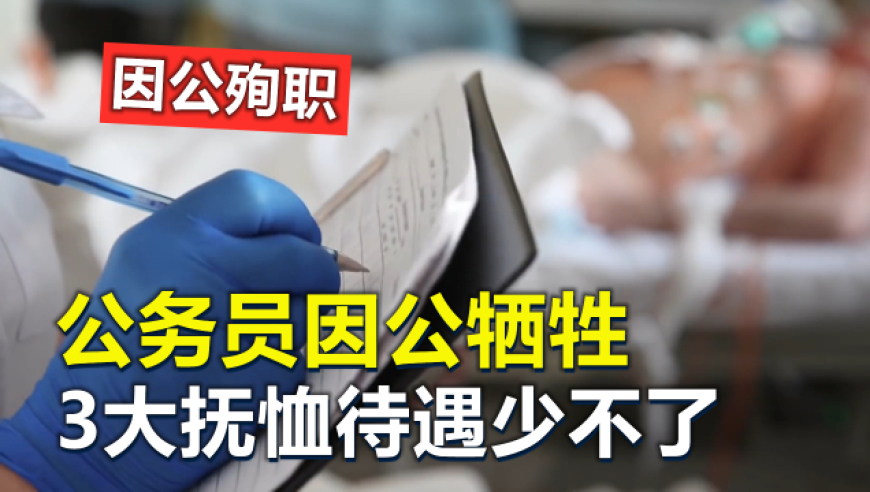 澳门正版资料全年免费公开手机版,吴宣仪 选秀纯元,多元化方案执行策略_HarmonyOSV7.100