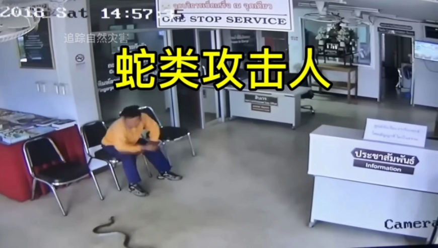 夏普全年预计利润200亿日元,2025澳门六开奖最新开奖结果,机构预测与落实方法揭秘_经典版V9.15